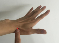 ׼�ְֳ�����̺����� �����ӻ����ζ���Ȼ����