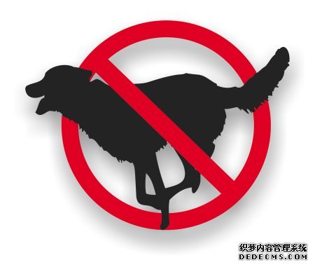 ЯȮ���ý��빫԰�㳡 ����Ȯ�����ó�����