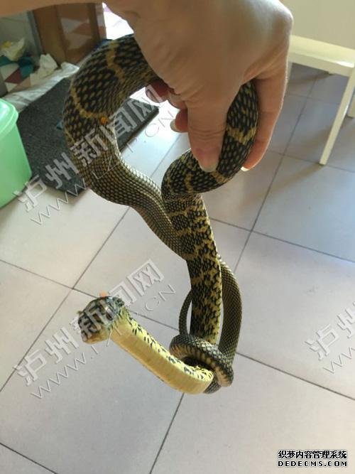 ���ݶദ�֡��߾��� ���񲻸Ҵ��޳���(ͼ)