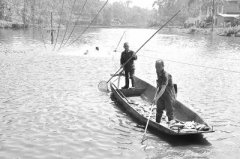 ��ɽһ���������Ƭ���� �����⸶����ʧ(ͼ)