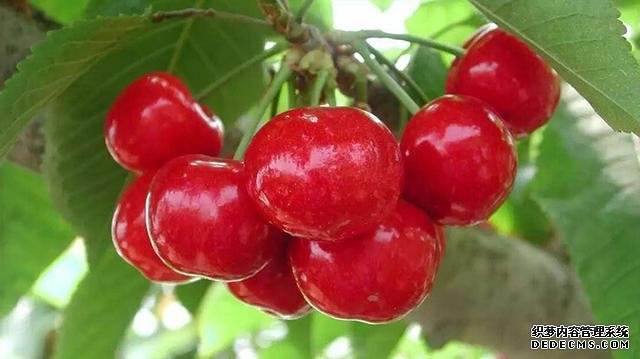 �������Σ�5�µĹ㶫ˮ����û������ó�ѽ