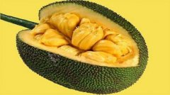 湄公河畔榴莲蜜,见多识